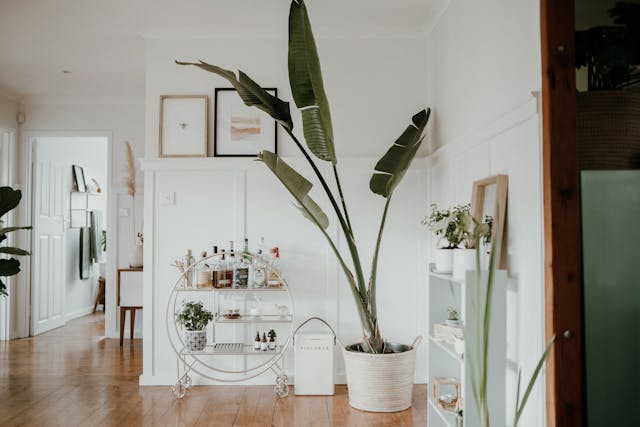 Naturalny akcent we wnętrzu – rola wiklinowych doniczek
